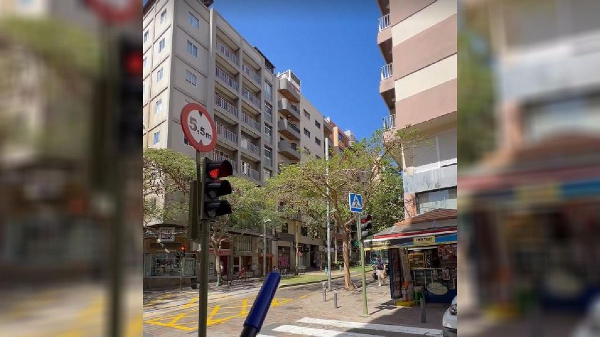 Lugar en el que ocurrió el atropello del animal el pasado viernes en la capital tinerfeña.