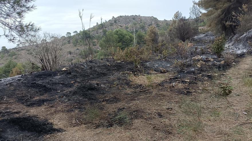 La pluja contribuïx a refrescar l’incendi després de cremar més de 5 hectàrees al costat de la Murta