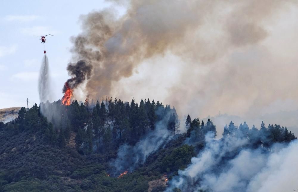 Nuevo incendio forestal en Gran Canaria