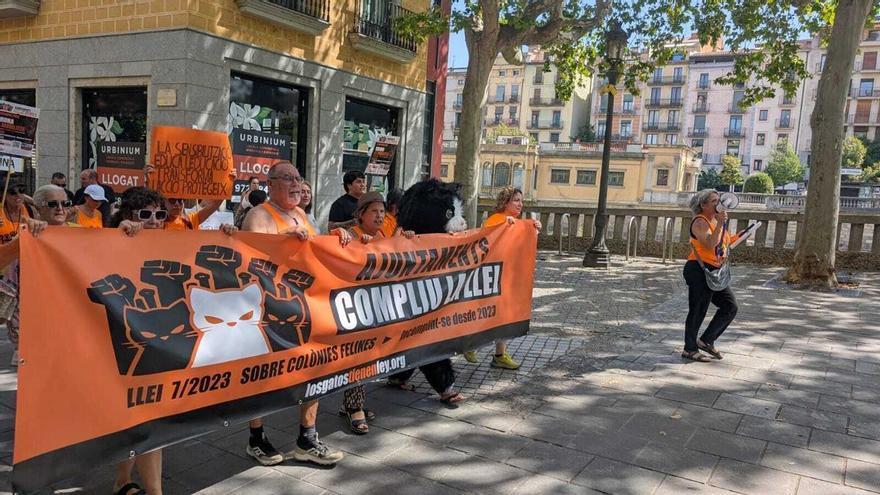 Concentració a Girona per garantir la correcta gestió de les colònies felines: "No pararem fins que aquest problema hagi acabat"