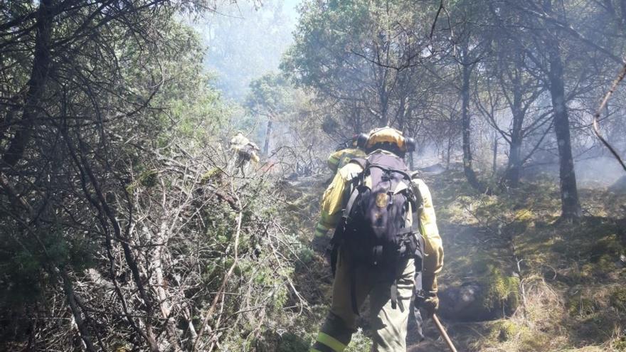 Bomberos forestales durante el incendio de Candeleda