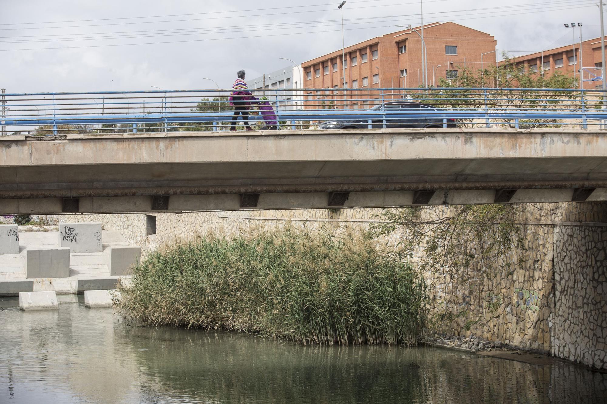 Nadie quiere limpiar el Barranco de las Ovejas en Alicante