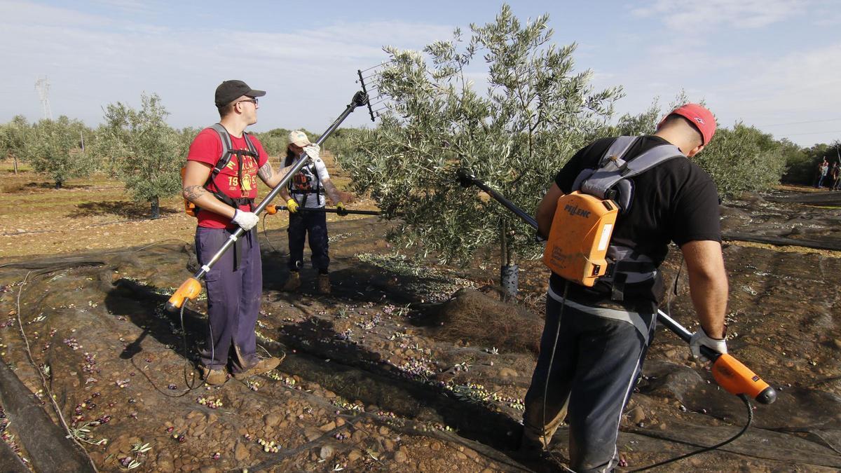 El encuentro abordará asuntos de relevancia como el estado de la subcontratación con la reforma laboral.