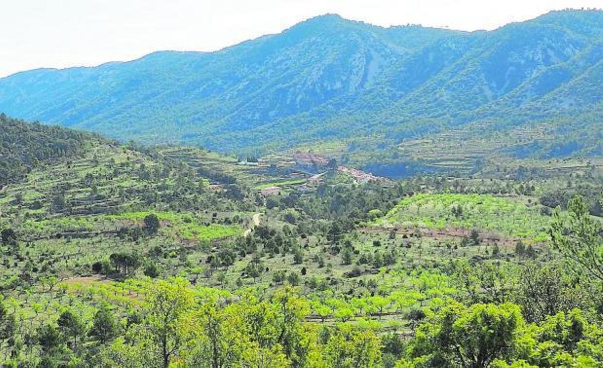 Restos del patrimonioque se puede hallaren el camino | P. N. TINENÇA