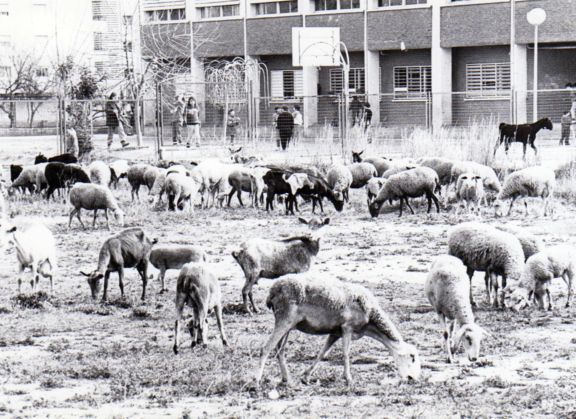 Fotos de la València desaparecida: El Campanar de los 80