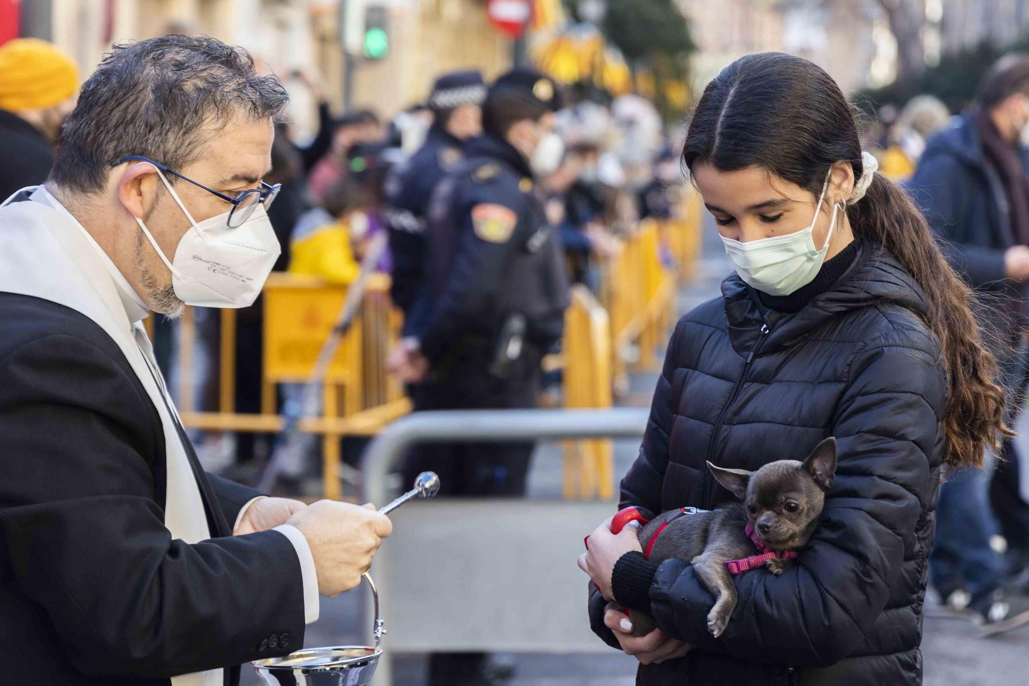 Búscate en la bendición de animales de Sant Antoni