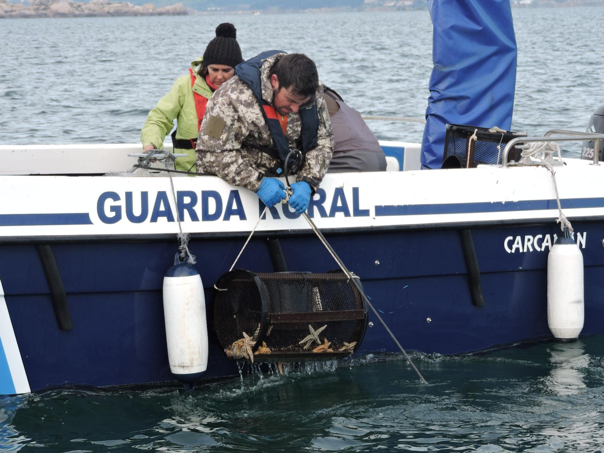 Así se lucha contra la basura marina en Areoso