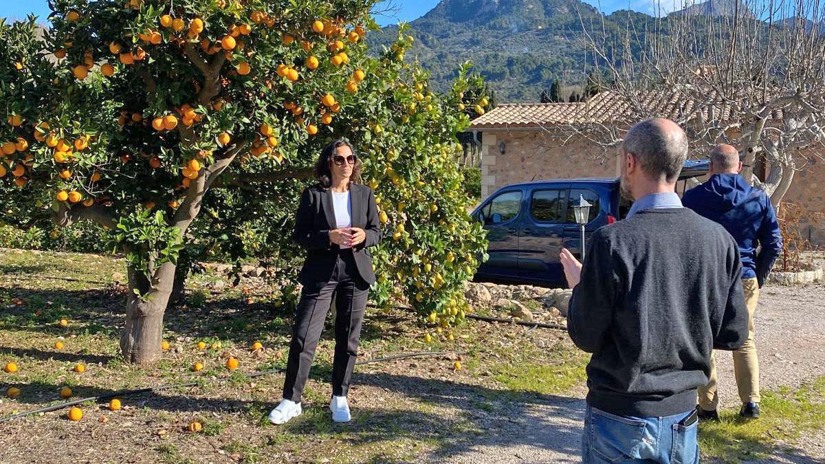 Horizonte Rural dinamiza el sector agroalimentario combinándolo con la tecnología y los datos