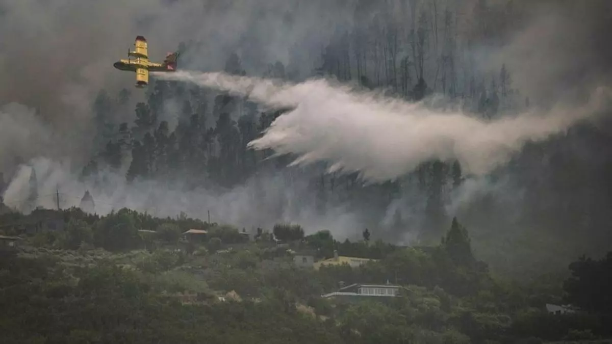 El cambio climático aumenta el riesgo de incendio aunque la mayoría sean provocados por humanos