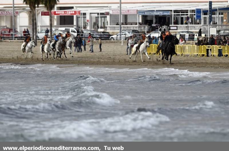 GALERÍA DE FOTOS -- Orpesa celebra Sant Antoni con carreras y bendición de animales