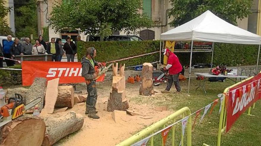 Exhibició de fer escultures de fusta amb xerracs, ahir a Vilada