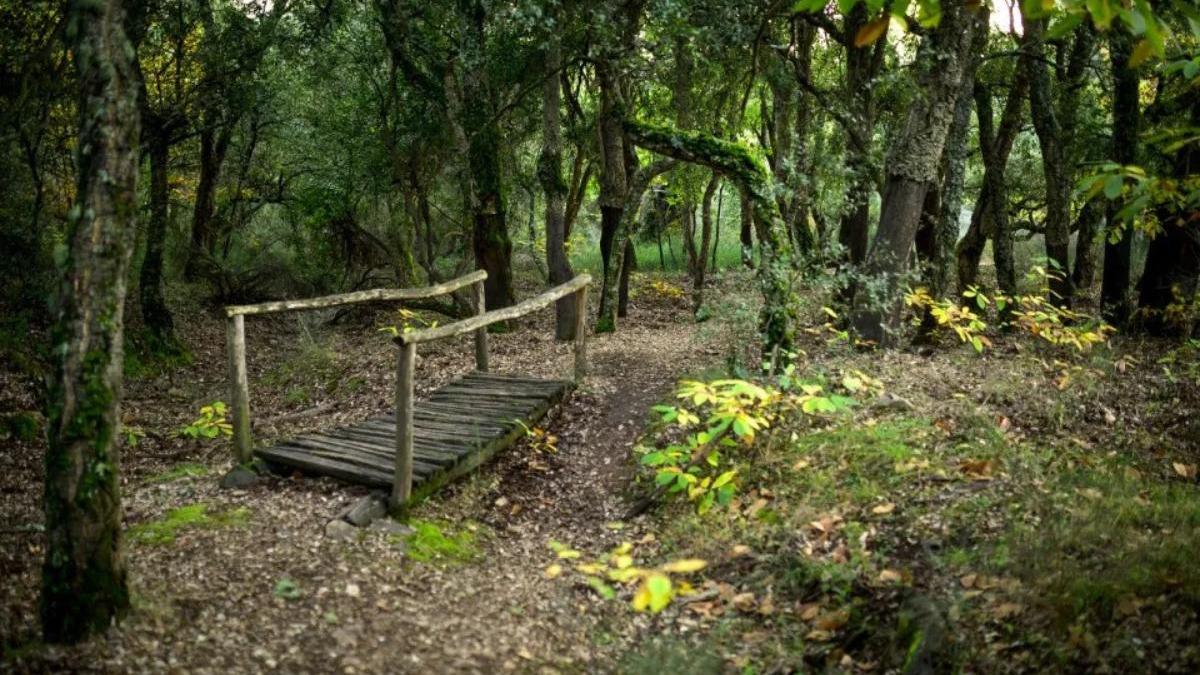 Una zona del Zofreral de Cobrana.