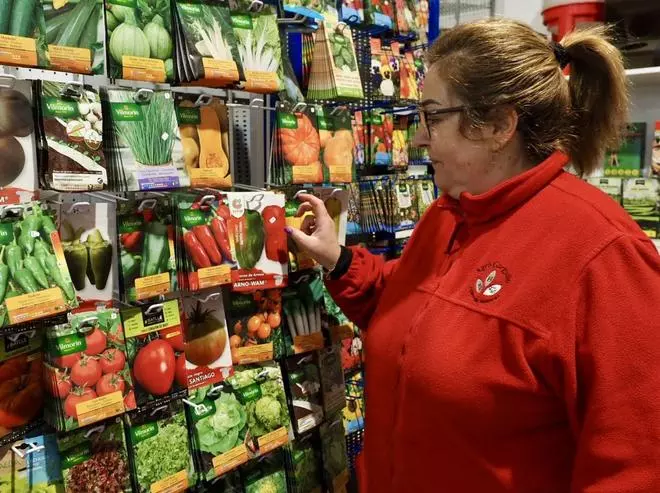 La humedad de la tierra retrasa la siembra de tomates y pimientos