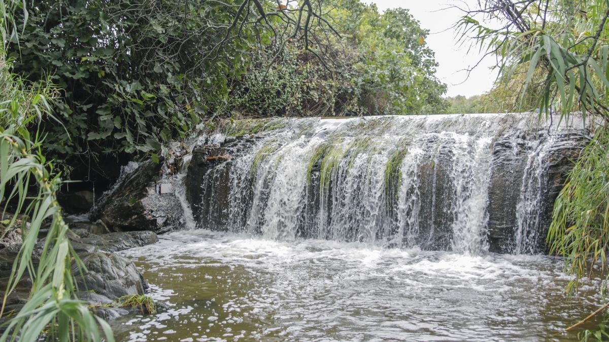 Manantial de la Ribera en todo su esplendor.