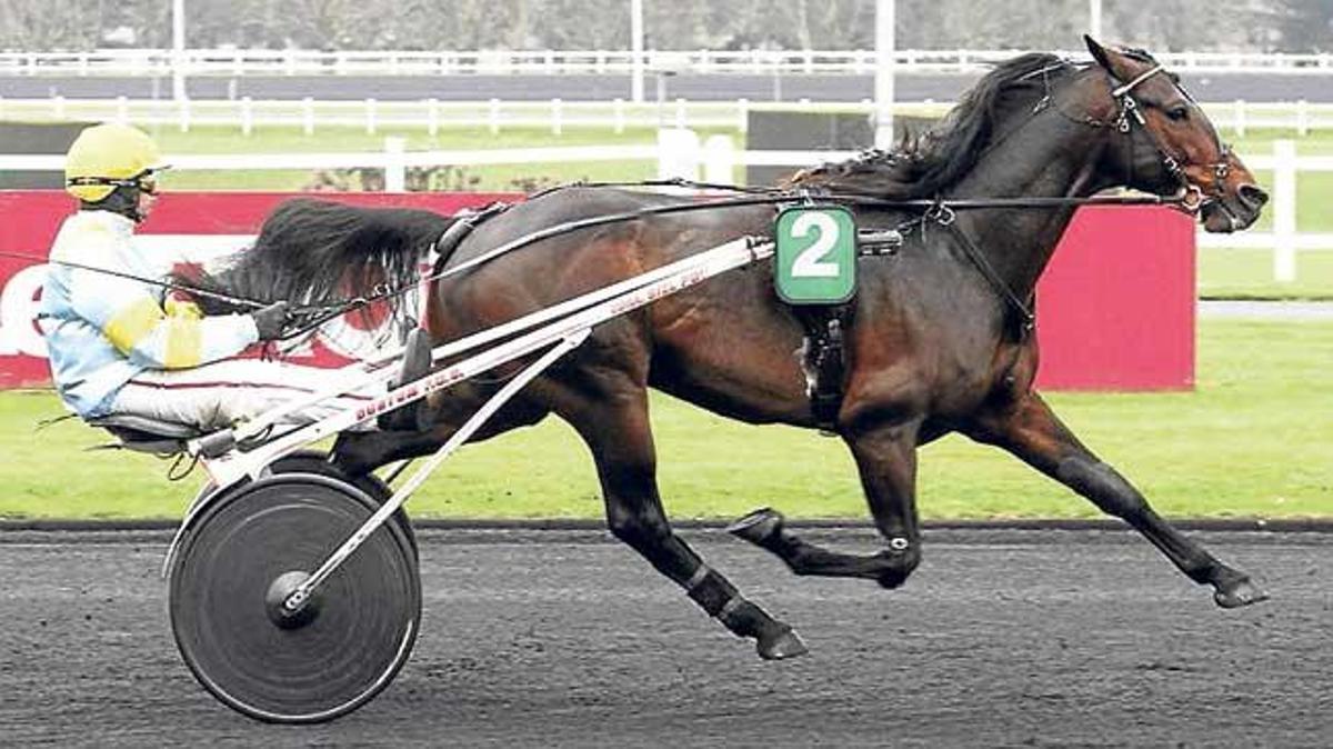 Trébol, con Biel Pou, en su última carrera en Vincennes.
