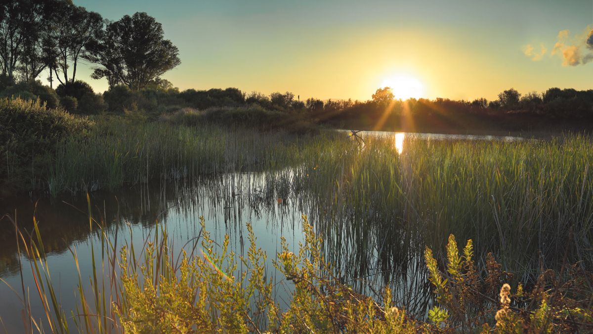 La laguna de Madrevieja, en la bahía de Algeciras, un espacio conservado por la Fundación Cepsa