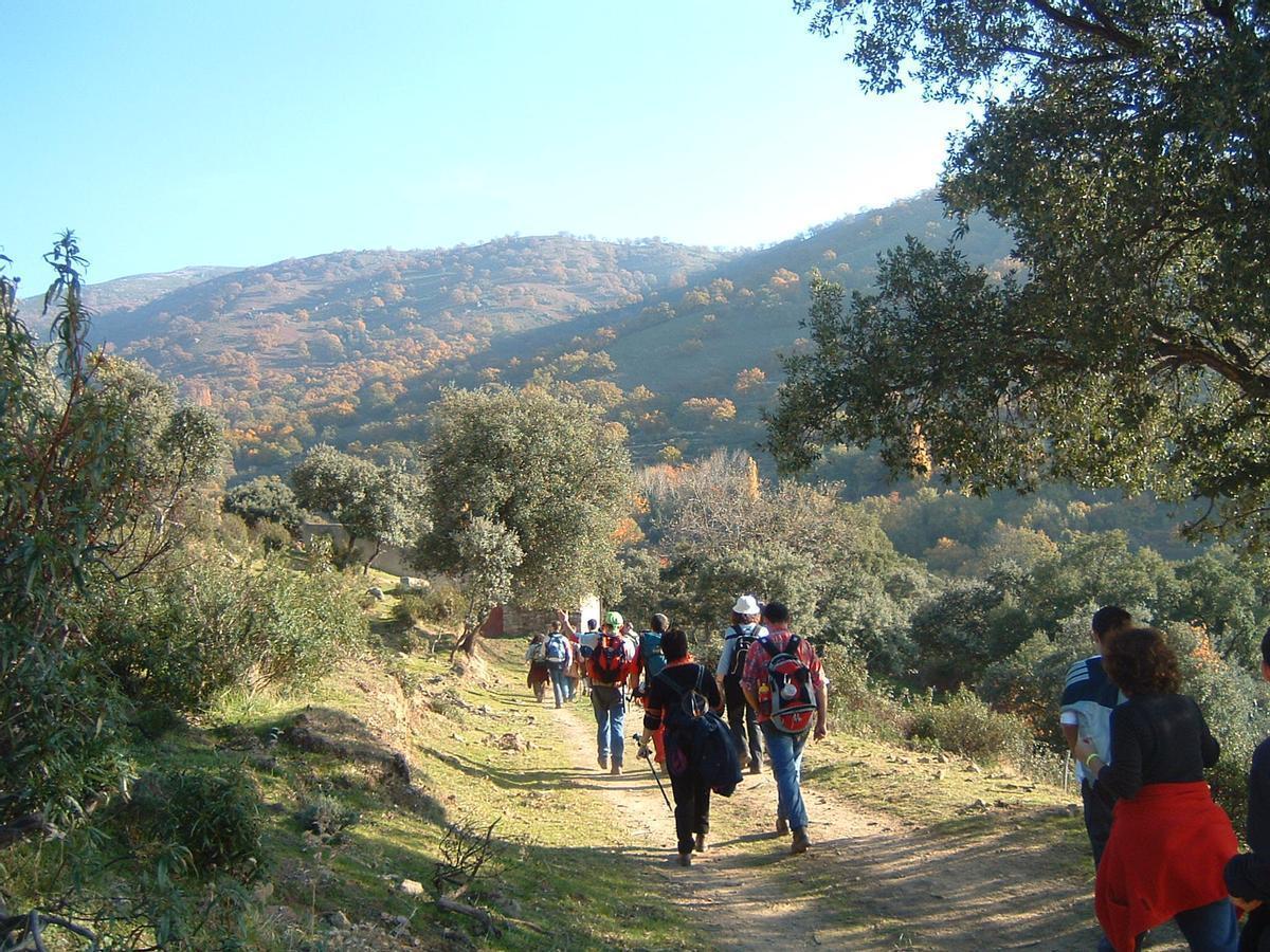 Imagen de un grupo de personas en una ruta senderista.