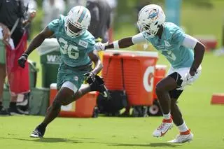 La Federación Aragonesa de Fútbol Americano trabaja para traer a los Miami Dolphins de la NFL
