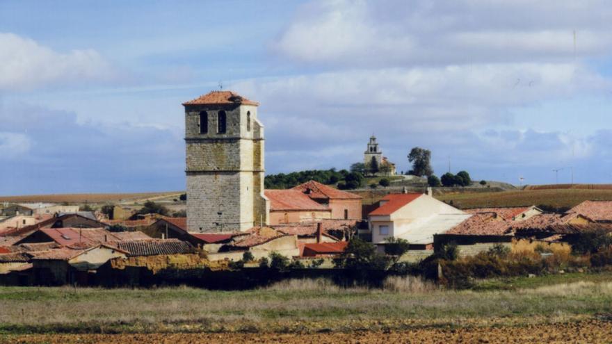 Hoy conocemos... Malva (Alfoz de Toro)