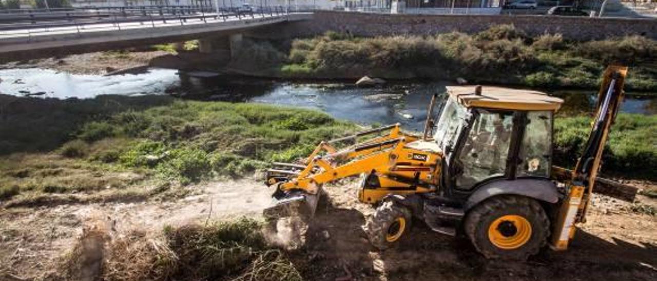 La limpieza del río en Novelda enfrenta a los ecologistas con el Ayuntamiento