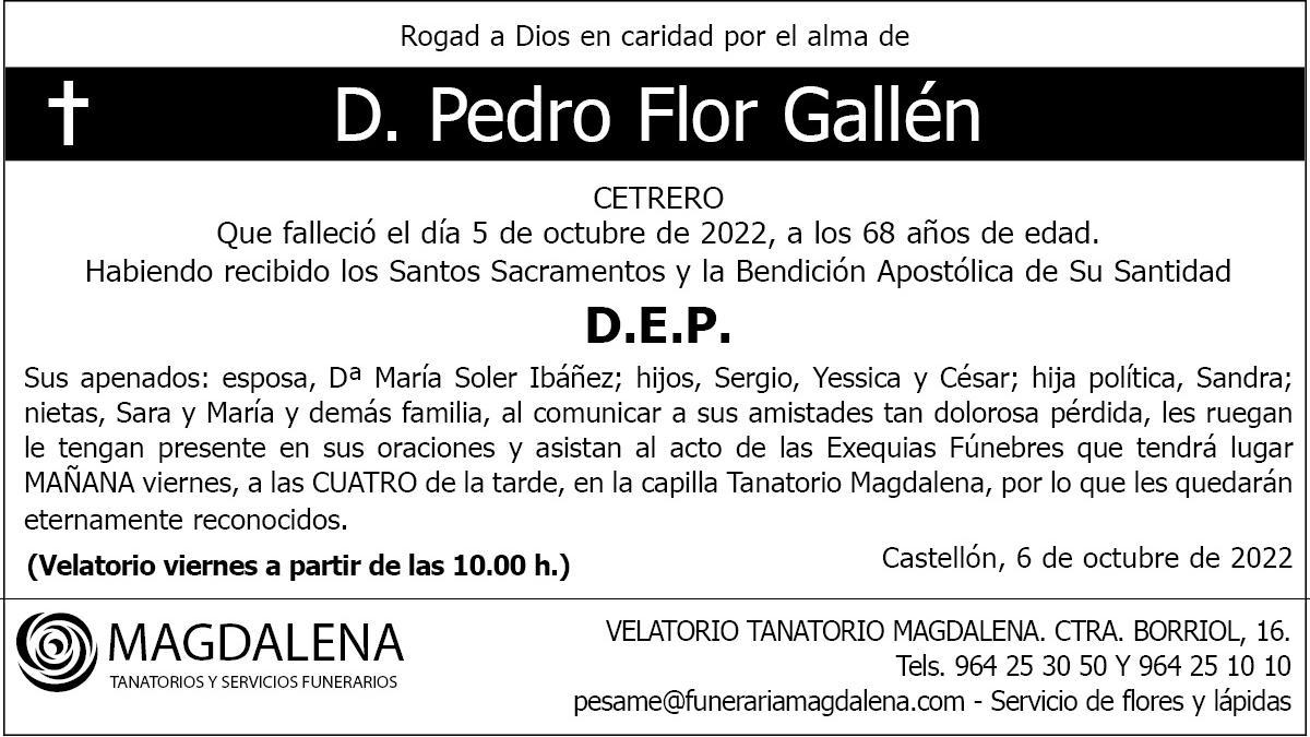 D. Pedro Flor Gallén