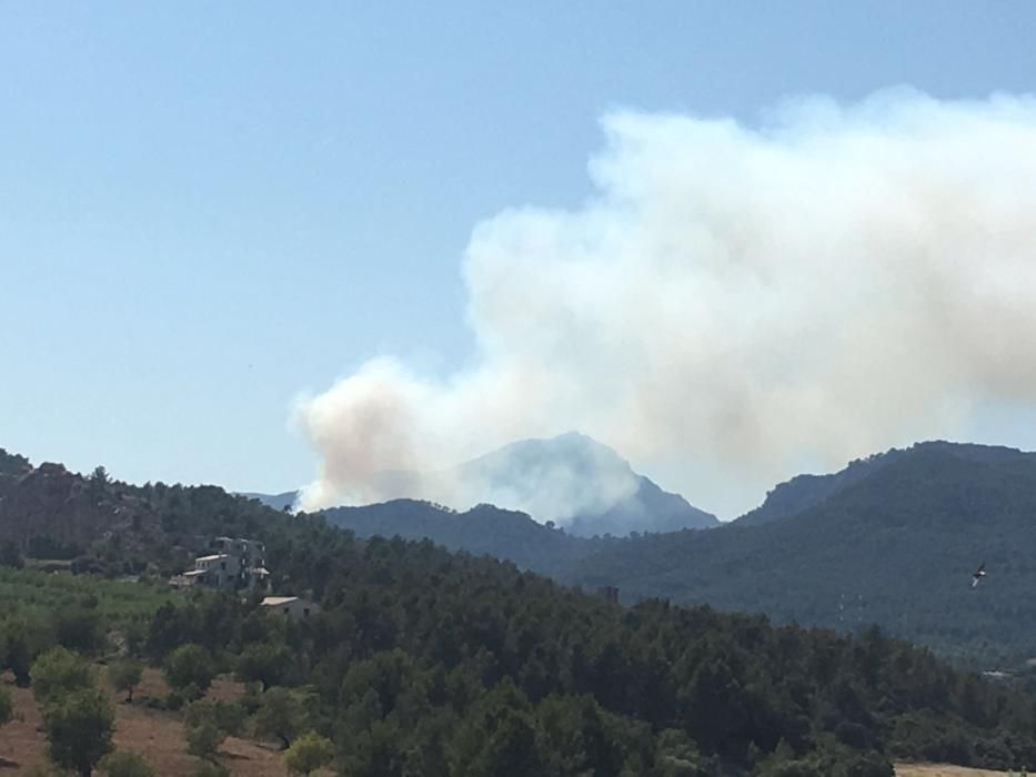 Waldbrand bei Puigpunyent