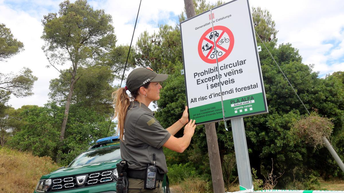 Una agent rural desplegant un cartell que informa sobre el tancament del parc natural del Montgrí a l'accés que dona a l'Estartit