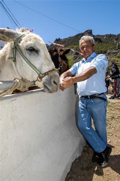 XX Feria Equina de La Culata de Tejeda