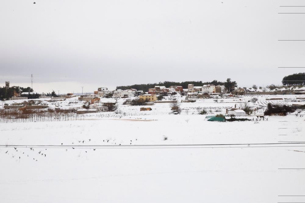 Efectos del temporal de nieve en Requena