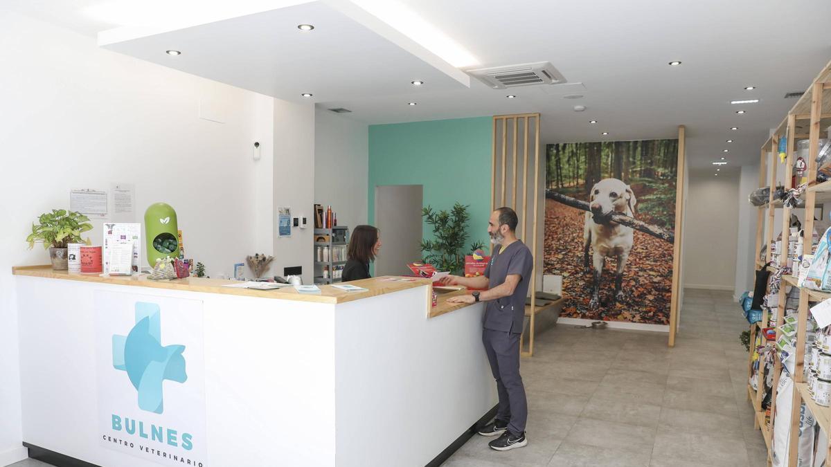 Recepción del centro veterinario Bulnes