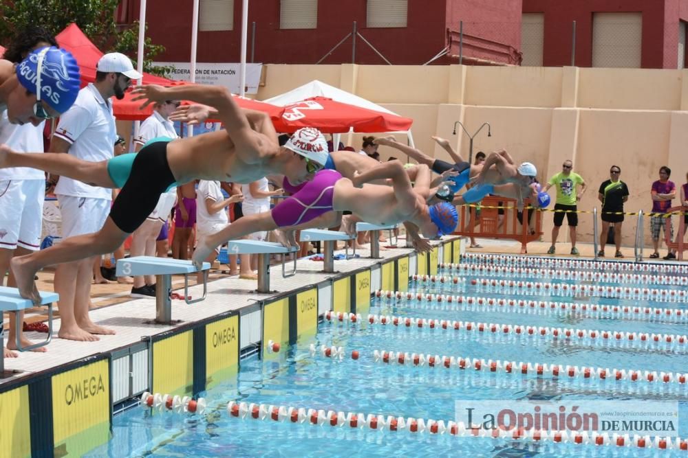 Final del Campeonato regional de natación.