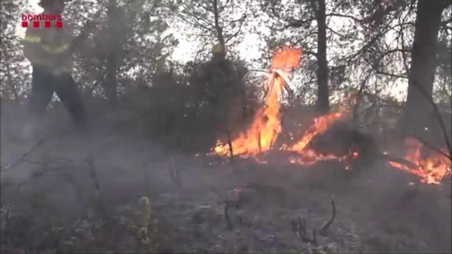 Els Bombers treballen en l'incendi forestal de la Ribera d'Ebre