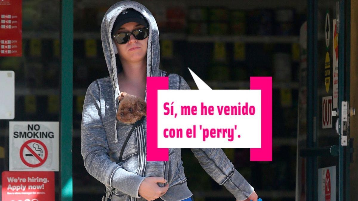 Katy Perry saliendo de una tienda en Los Ángeles (con su perro)