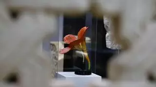 Flora expone el vínculo ancestral entre botánica y arqueología