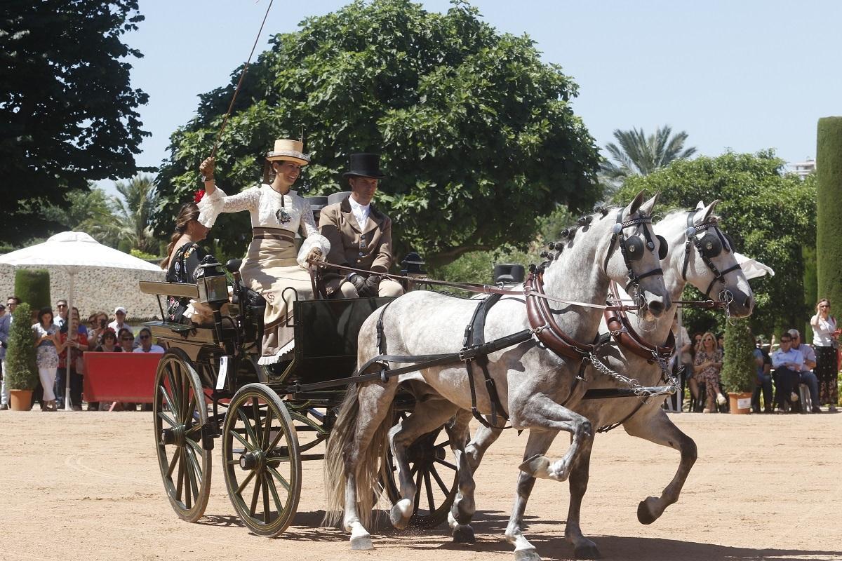 Un carruaje en una edición anterior de la Exhibición de Carruajes de Tradición en el Alcázar de los Reyes Cristianos.