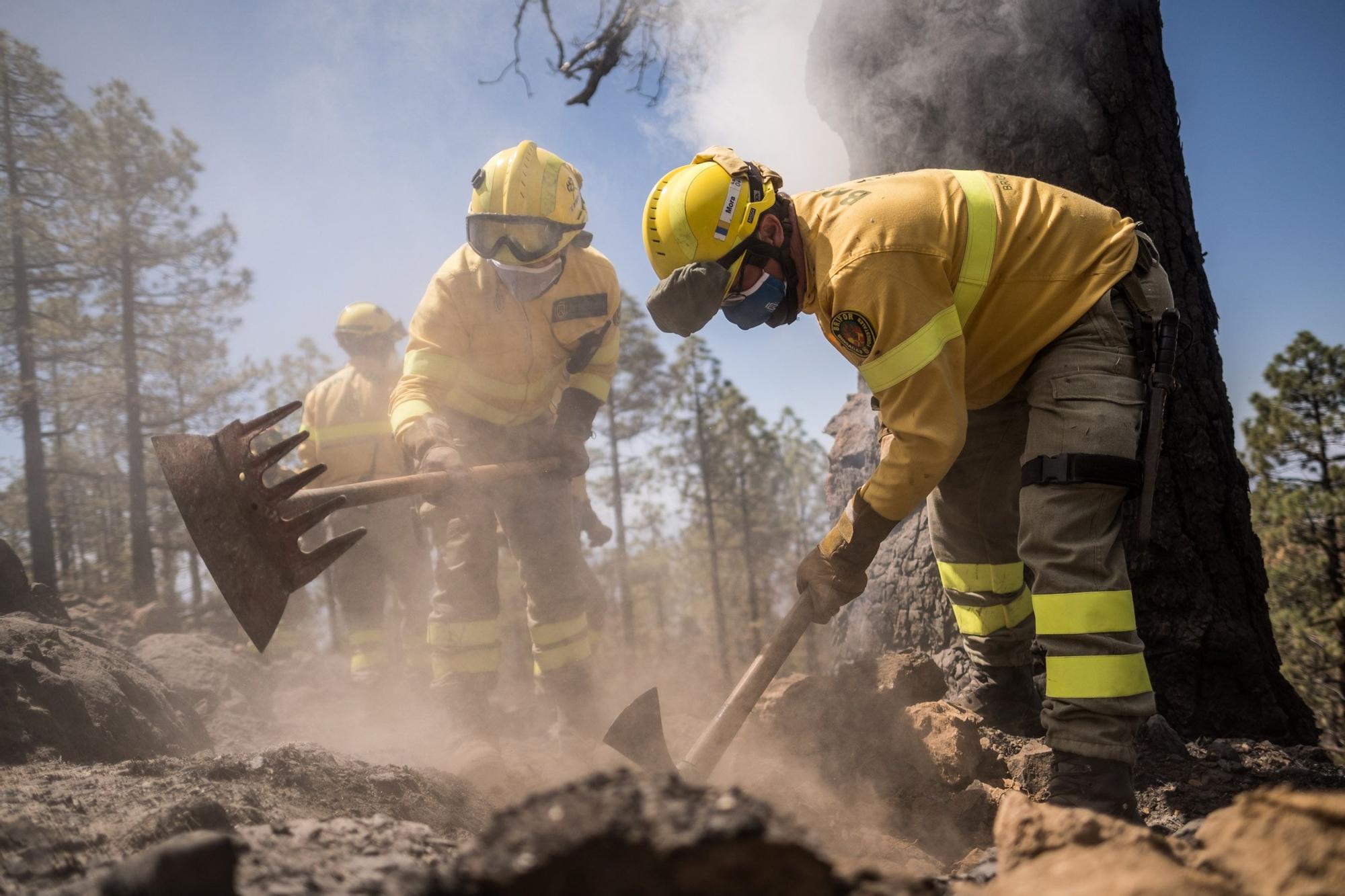 Dispositivo especial del Cabildo de Tenerife en el incendio de Arico