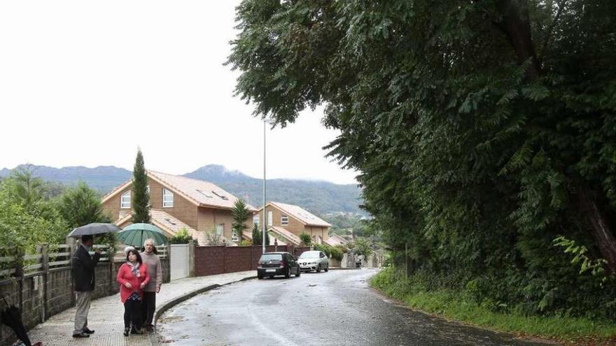 Vecinos de la zona, ante los árboles de la finca del conde que el Concello ordenó cortar. // Adrián Irago