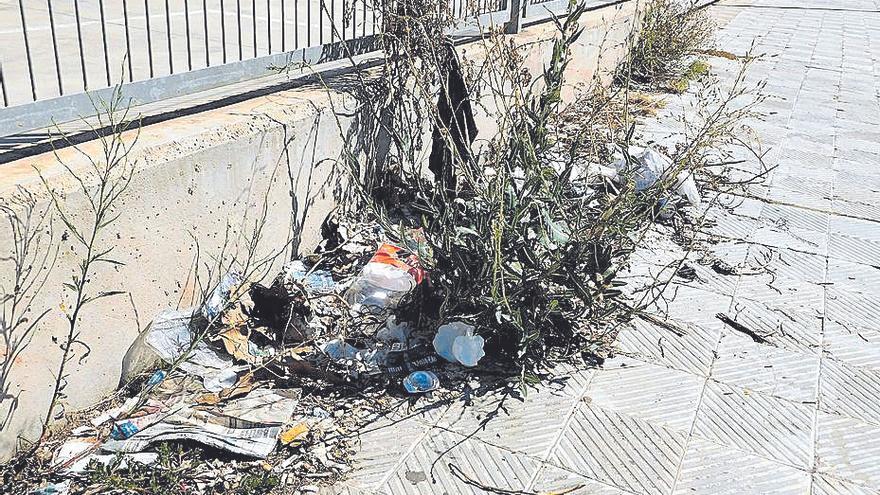 Una de les imatges amb herbes i brutícia acumulades