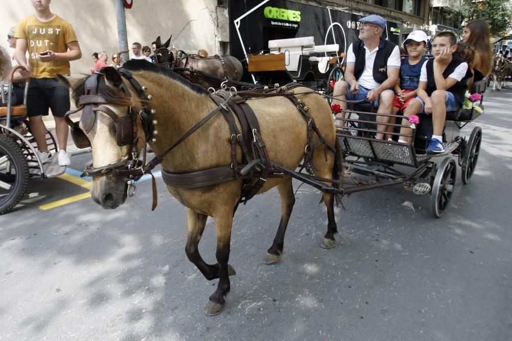 Día del Caballo en Alfonso X