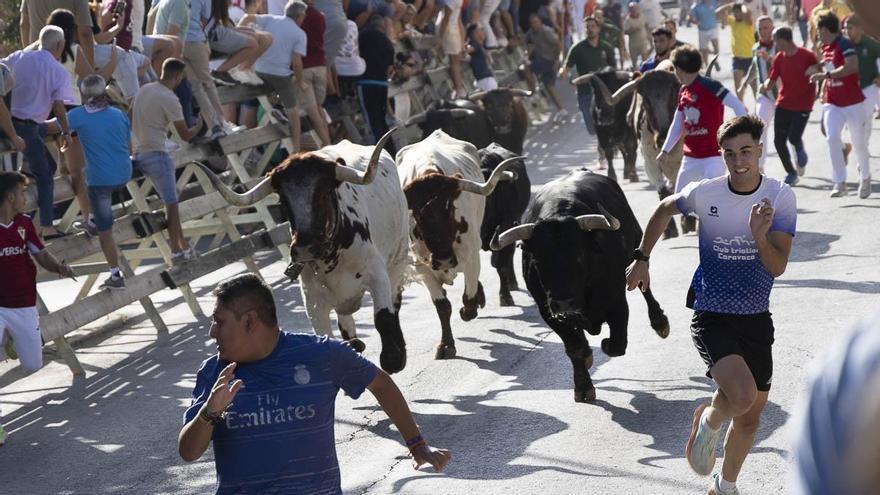 Emocionantes carreras en el tercero encierro de la Fiestas de Calasparra con la ganadería de Raso de Portillo