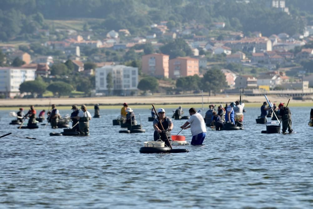 El marisqueo regresa a la ría de Pontevedra tras cuatro meses de parón