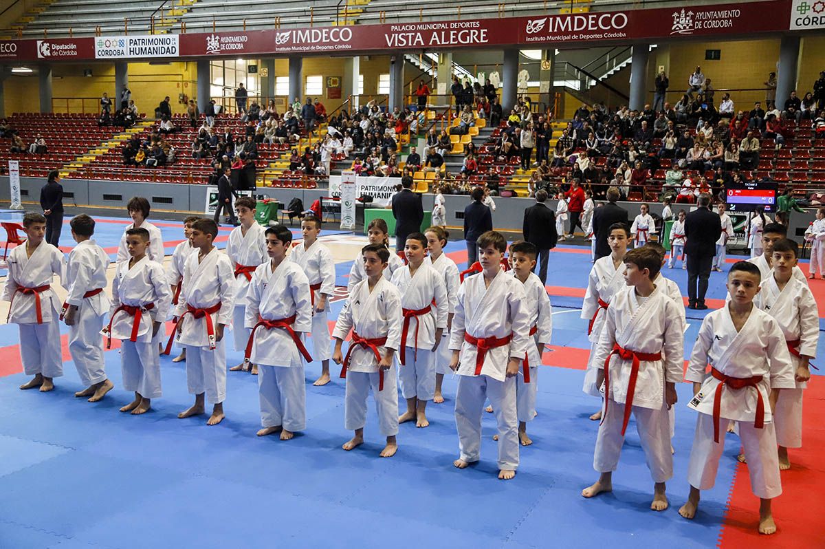 El Campeonato de Andalucía infantil de kárate y de parakárete, en imagenes