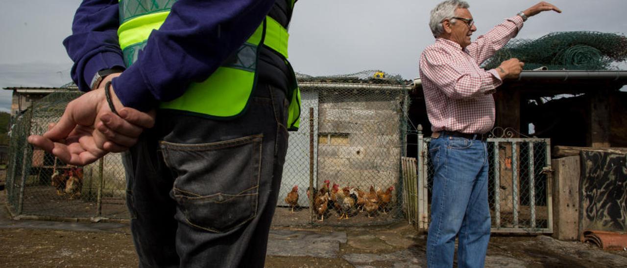 Tras los cacos del campo asturiano