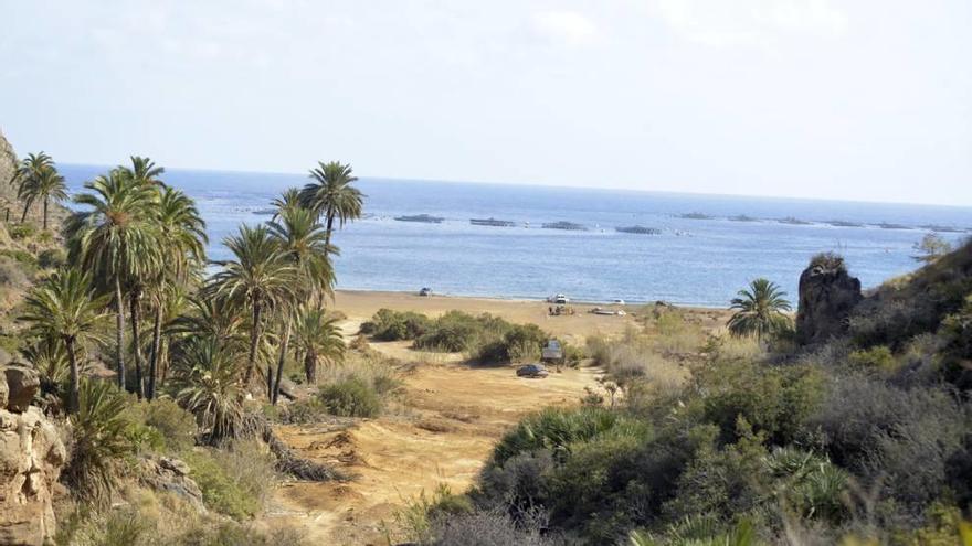 Frente social para forzar que el Estado dé carpetazo al puerto de El Gorguel