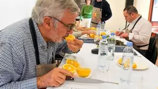 ¿Cuántas naranjas hay que comer al día para mejorar nuestra vida?
