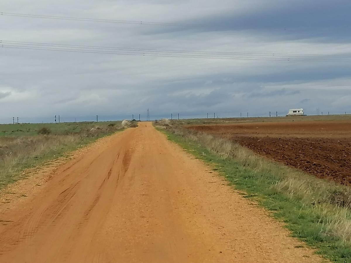 ROALES DEL PAN PERROS MATAN A JOVEN ENFERMERA