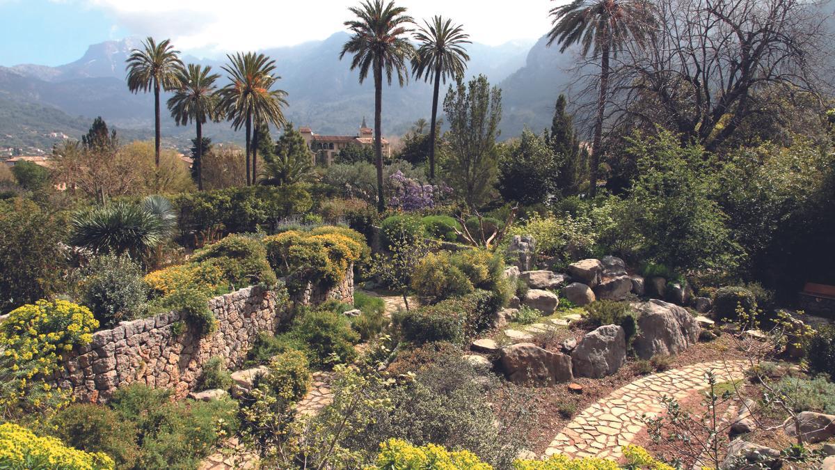 Traumhaft: Die Landschaft auf Mallorca