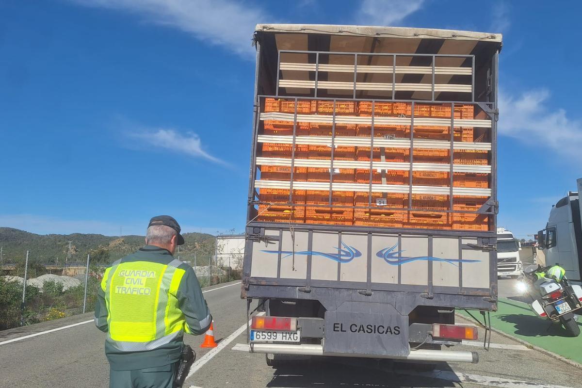Un agente de Tráfico de la Guardia Civil registra un camión.