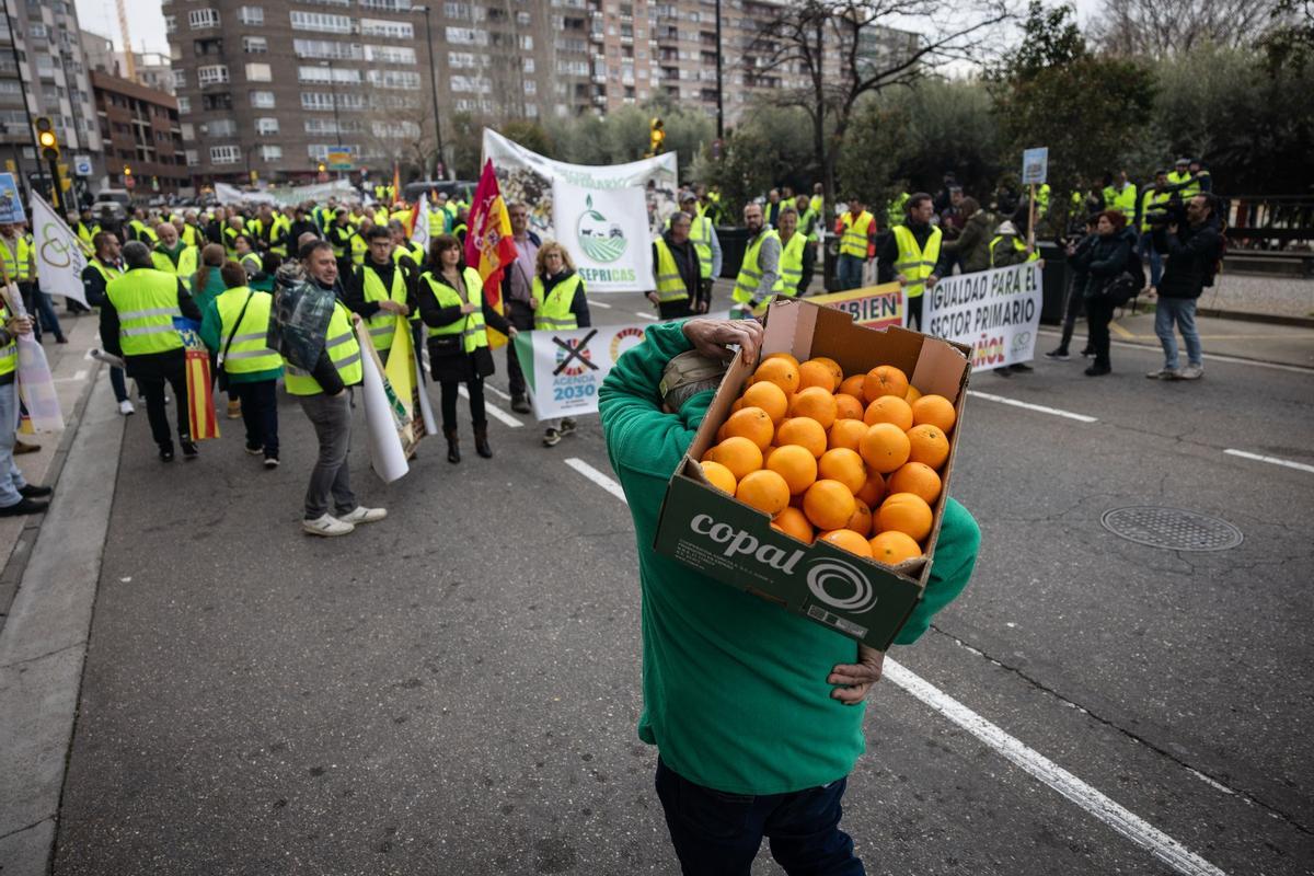 En imágenes | Los agricultores vuelven a las puertas de La Aljafería para protestar