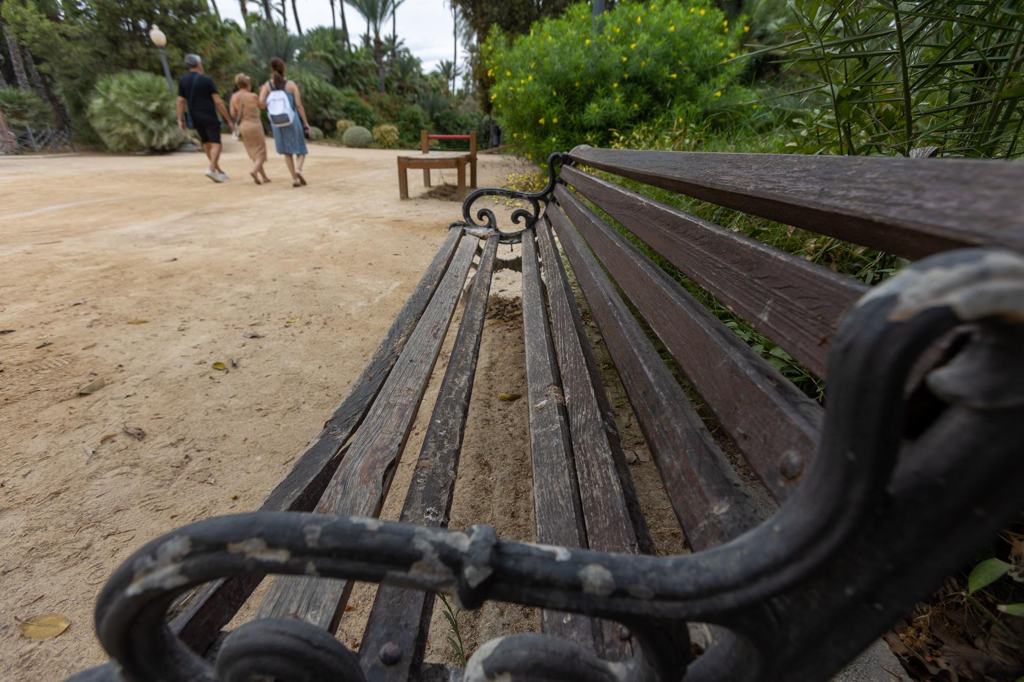 El abandono del Parque El Palmeral de Alicante